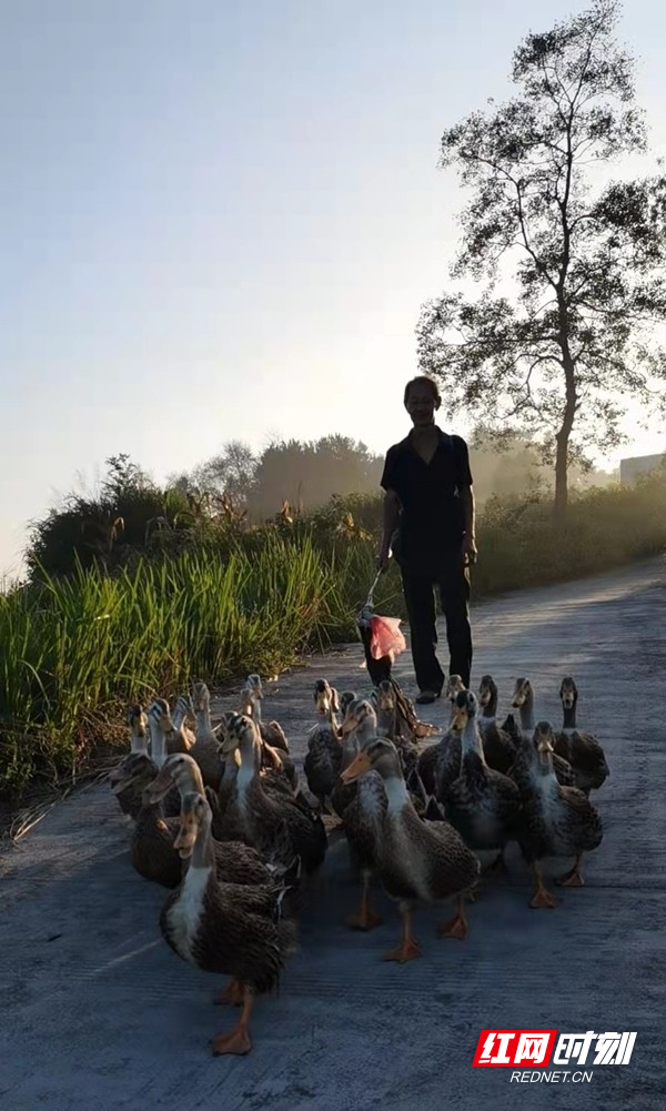 图片9.jpg
