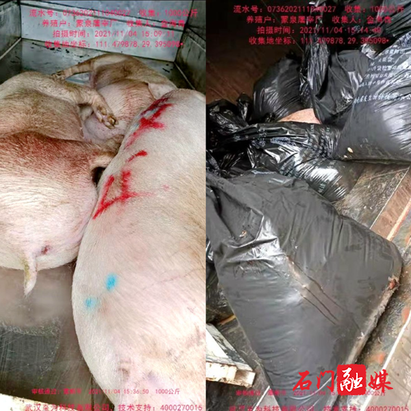 WPS图片拼图.png WPS图片拼图.png