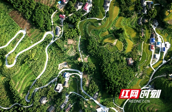 组组通公路_副本.jpg 组组通公路_副本.jpg