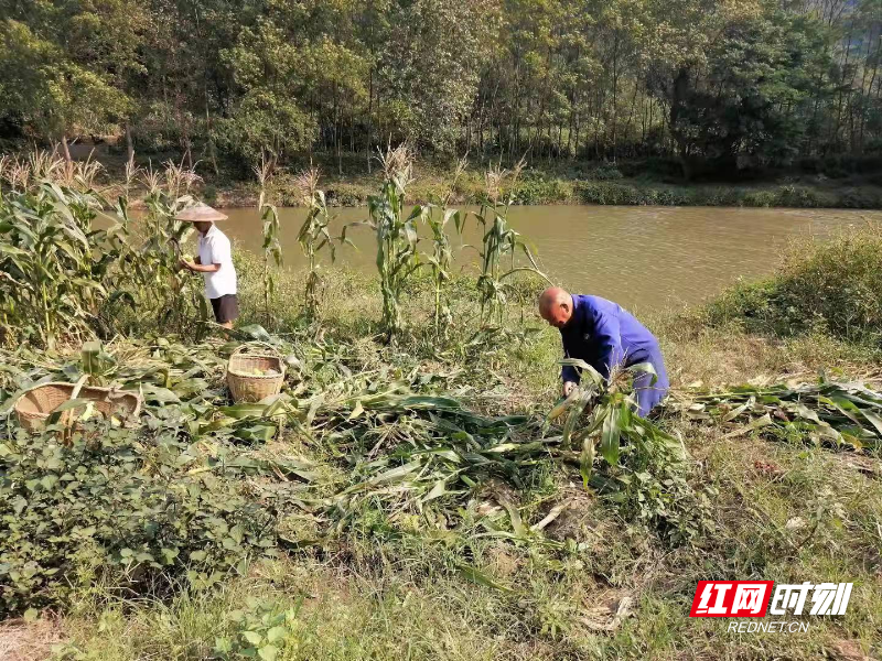 微信图片_20211109144140.jpg