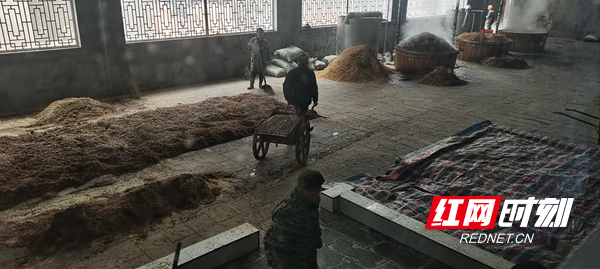 实地考察兰泉酒厂发酵车间现场。.jpg