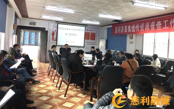 畜禽水产遗传资源普查第三次培训会_副本.jpg 畜禽水产遗传资源普查第三次培训会_副本.jpg