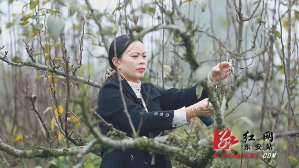 微信图片_20211109165023.jpg