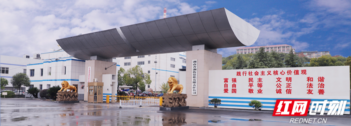 湖南省湘衡盐化有限责任公司.png
