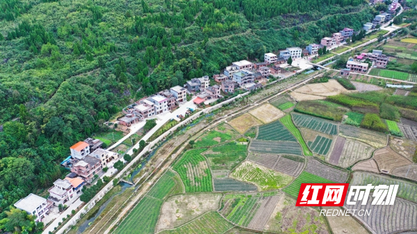 湖南新田:产业兴 乡村美3.jpg 湖南新田:产业兴 乡村美3.jpg