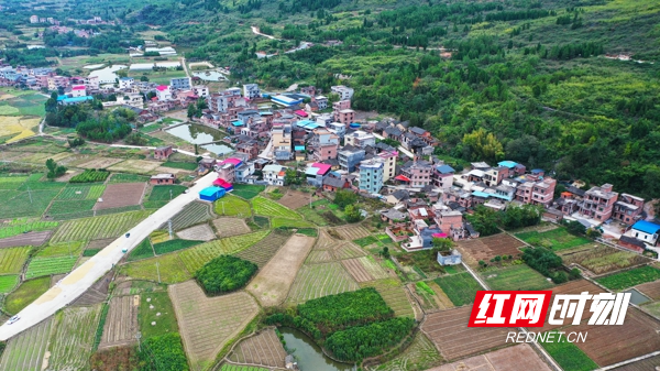 湖南新田:产业兴 乡村美4.jpg 湖南新田:产业兴 乡村美4.jpg