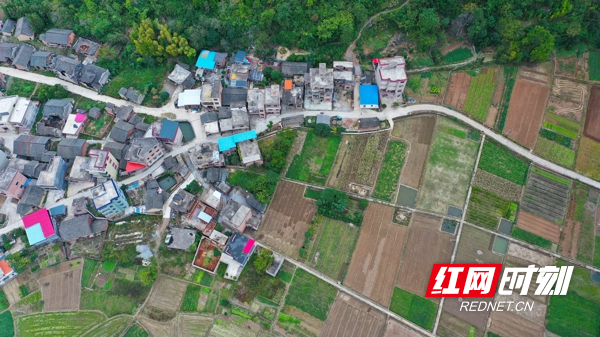 湖南新田:产业兴 乡村美6.jpg 湖南新田:产业兴 乡村美6.jpg