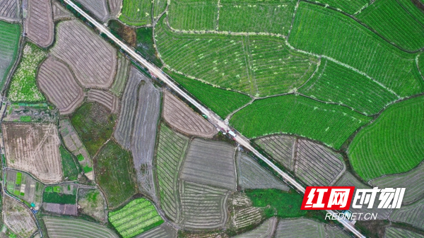 湖南新田:产业兴 乡村美7.jpg 湖南新田:产业兴 乡村美7.jpg