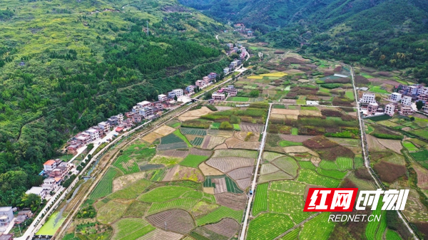 湖南新田:产业兴 乡村美2.jpg 湖南新田:产业兴 乡村美2.jpg