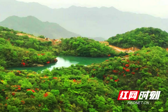 12.marked.png 12.marked.png