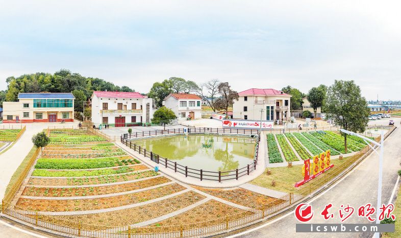 　　长沙全域开展美丽宜居村庄创建，全市共申报备案美丽宜居村庄955个，目前已建成395个。图为望城区靖港镇的美丽屋场。长沙晚报全媒体记者 陈飞 摄