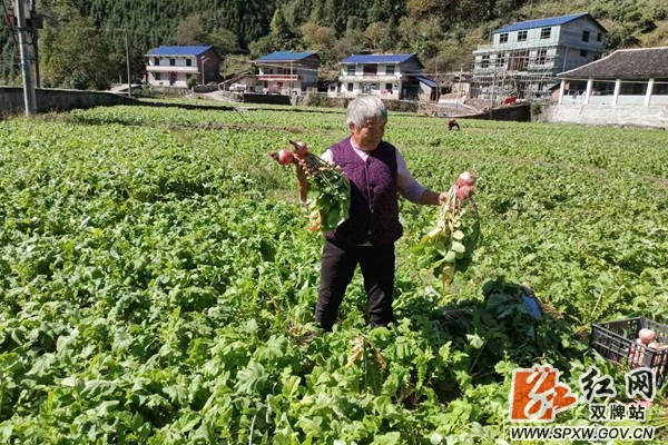 微信图片_20211111110718_副本.jpg