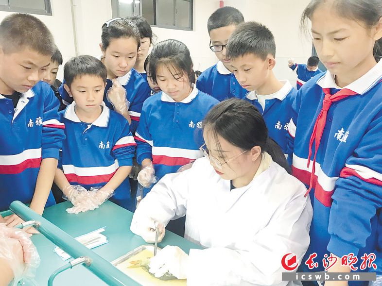 　　南雅湘江中学的课后服务实行走班上课，近40个项目，学生们想学都能学。　　长沙晚报全媒体记者 刘俊 摄