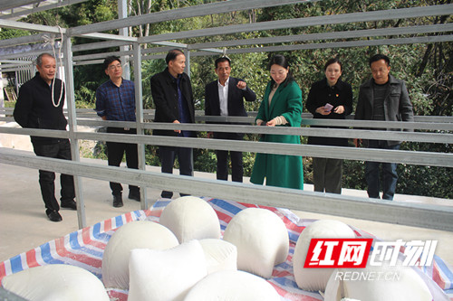 微信图片_20211111171215_副本.jpg