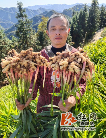 微信图片_20211111110326.jpg 微信图片_20211111110326.jpg