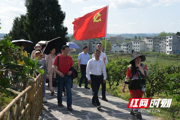 在廖家桥镇菖蒲塘村开展党史学习教育“学史崇德”现场教学。（胡国金  摄）.jpg