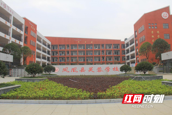 图片43.jpg