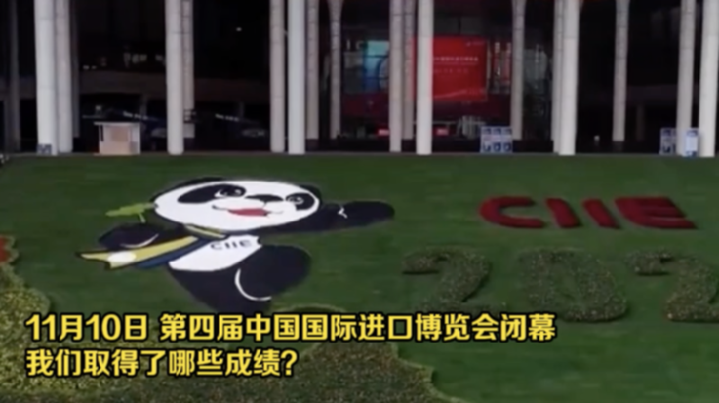 从进博会看入世20年 这份成绩单请收好!