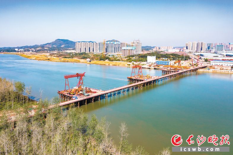 香炉洲大桥建设如火如荼进行中。 长沙晚报通讯员 龙宇摄