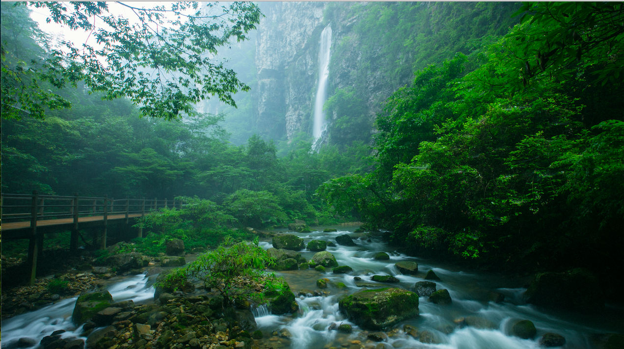 屏幕快照 2021-11-12 上午8.59.40.png