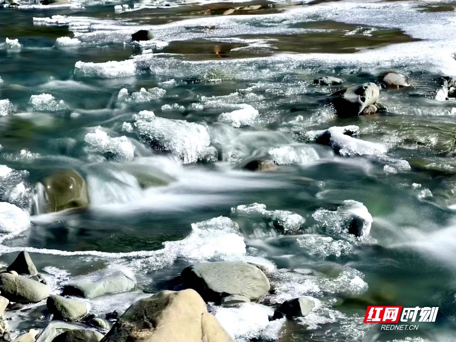 宁金康桑景区内的溪流在暖阳的呵护下，融化了初冰。.jpeg