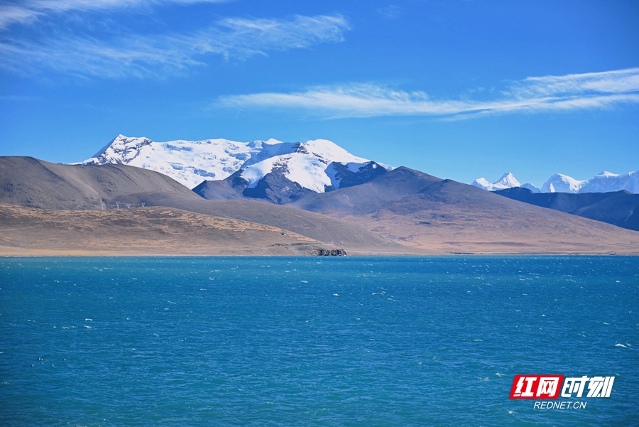 普莫雍措在雪山围拢之下，湖水湛蓝清透，白色的浅滩在湖岸勾勒出完美曲线.jpeg