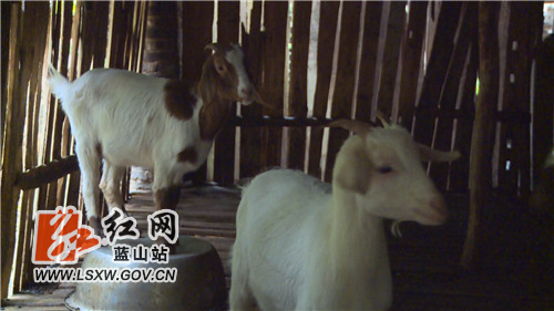 微信图片_20211116111728.jpg