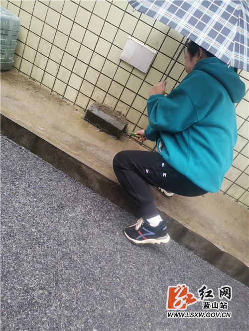 IMG_20211116_105525.jpg IMG_20211116_105525.jpg