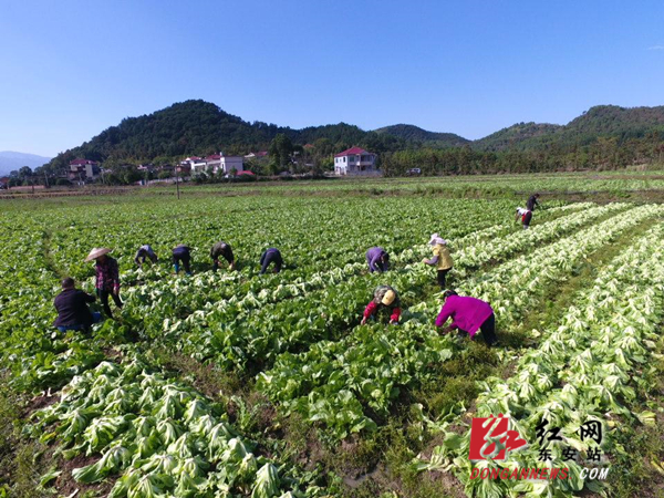 DJI_0069_极速看图_副本.jpg