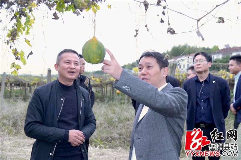吴光文 (2) (14).jpg