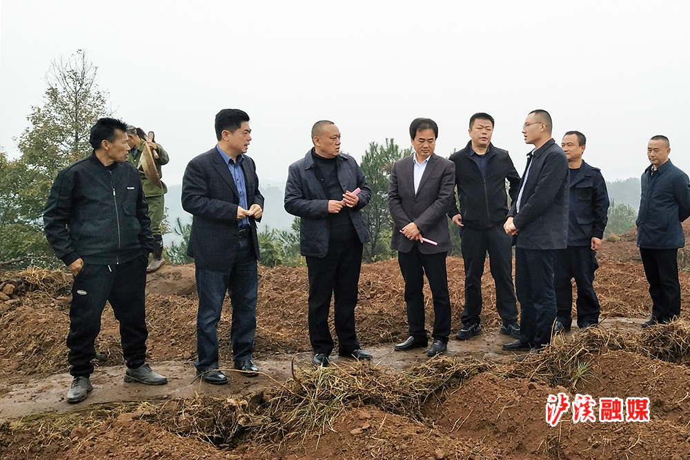 微信图片_20211117174336.jpg