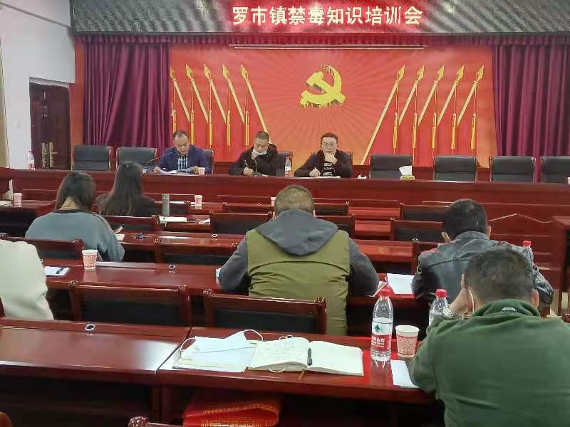 罗市镇召开禁毒知识培训会_邵阳头条网