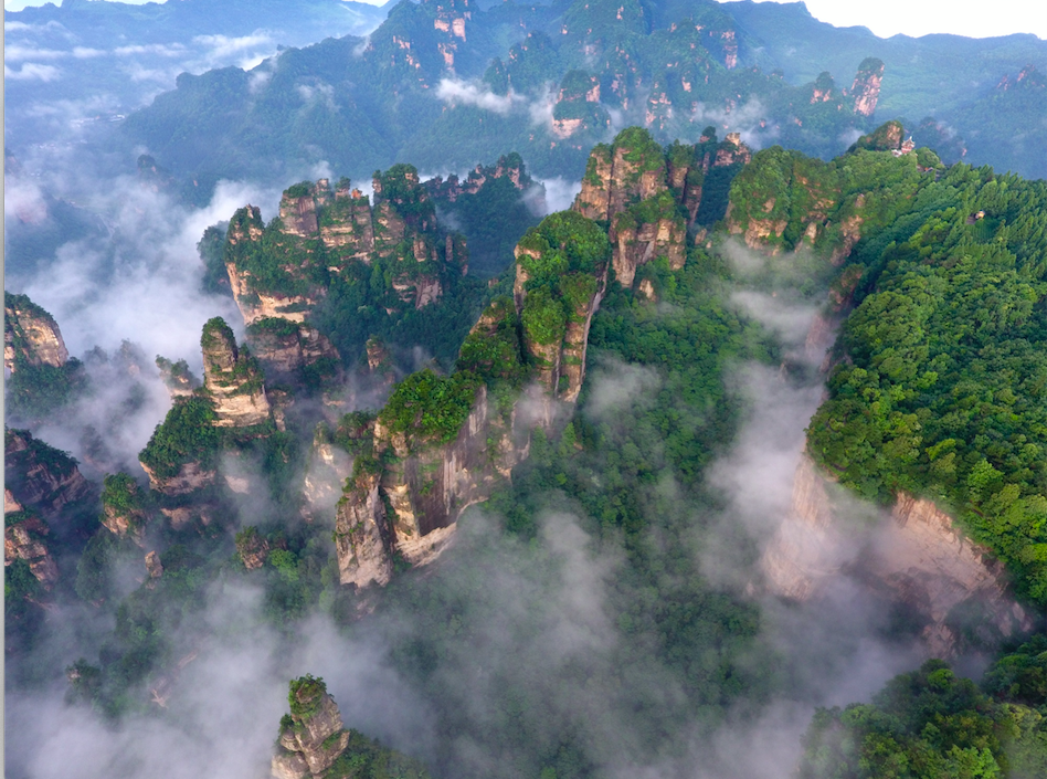 屏幕快照 2021-11-18 上午9.08.15.png