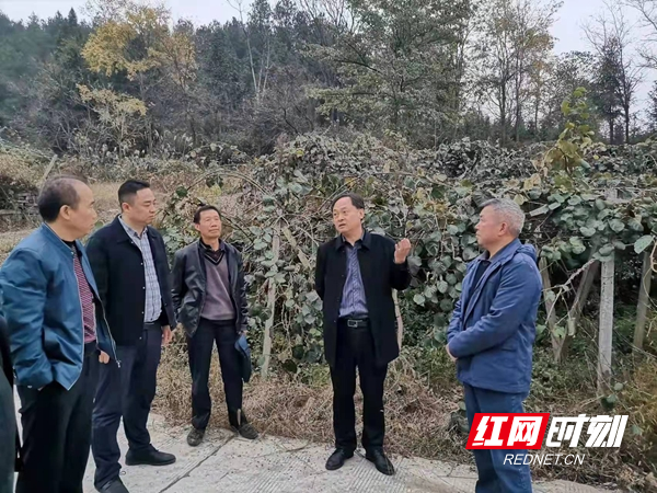 微信图片_20211119110036.jpg
