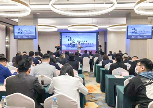 雷震宇出席第二届海峡两岸（长沙）青年企业家融合发展论坛.jpg