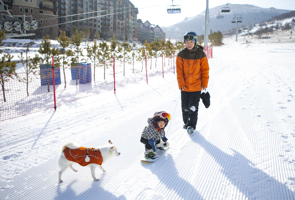 11月18日，萌宝王予玑在爸爸和宠物狗“旺仔”的陪伴下滑雪。新华社记者 张帆 摄