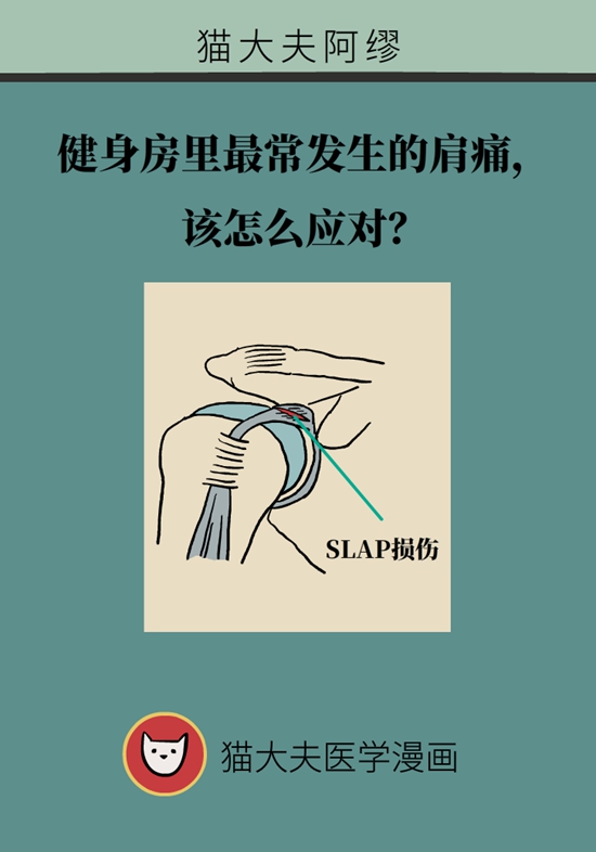 健身房里最常發生的肩痛，該怎么應對？