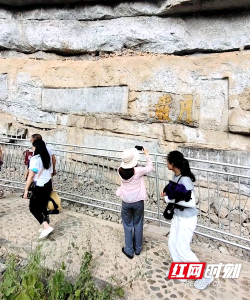 微信图片_20211119144519.jpg 微信图片_20211119144519.jpg