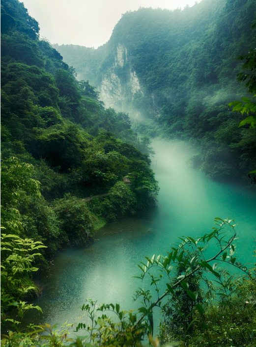 屏幕快照 2021-11-19 上午9.25.47.png 屏幕快照 2021-11-19 上午9.25.47.png