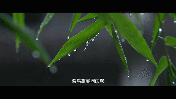 二十四节气-小雪_3.gif