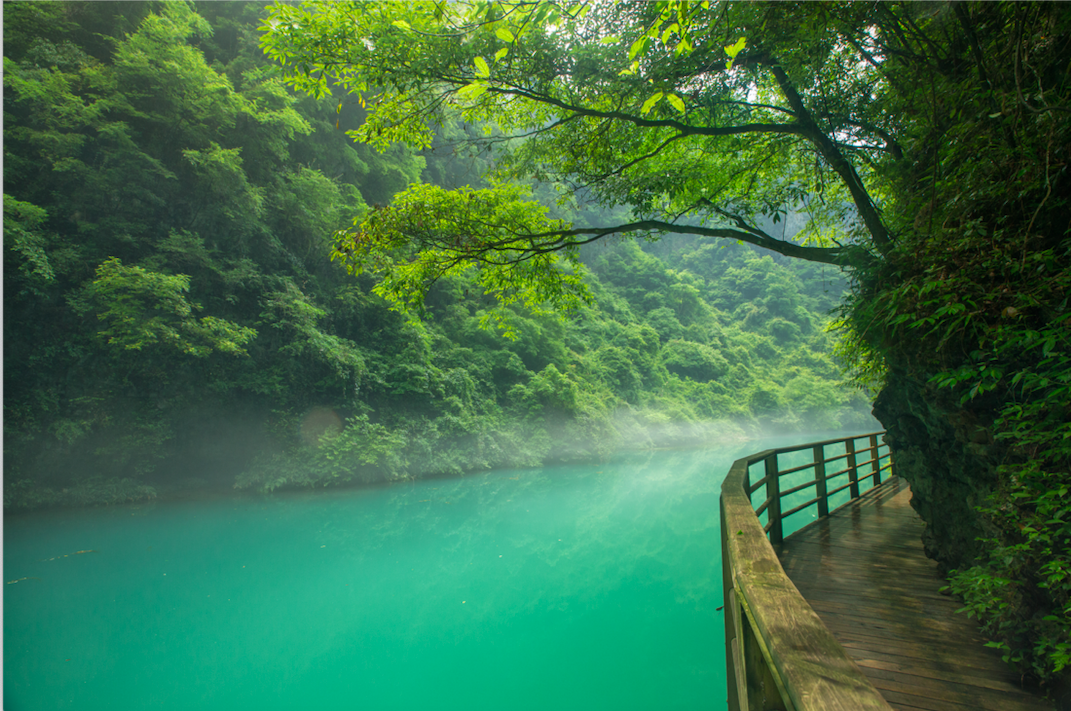 屏幕快照 2021-11-22 上午8.59.18.png