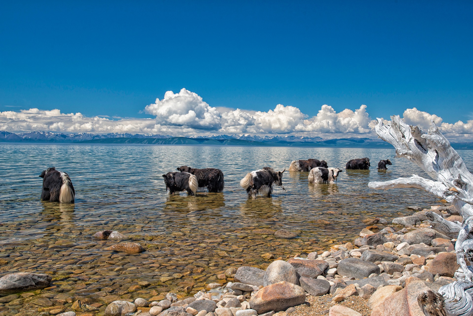 lake-g683d2bc4e_1920.jpg