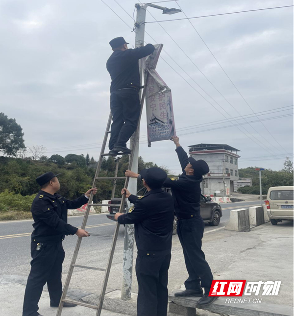 图片11.jpg