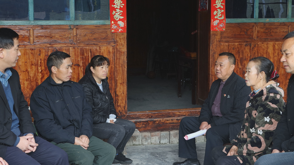 杨1.jpg