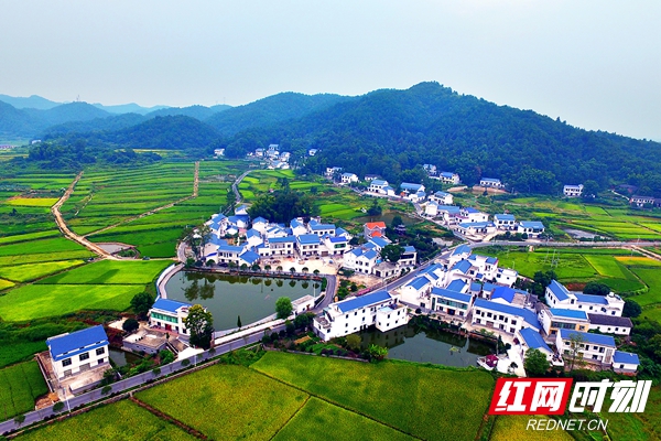 微信图片_20211124143833_副本.jpg 微信图片_20211124143833_副本.jpg