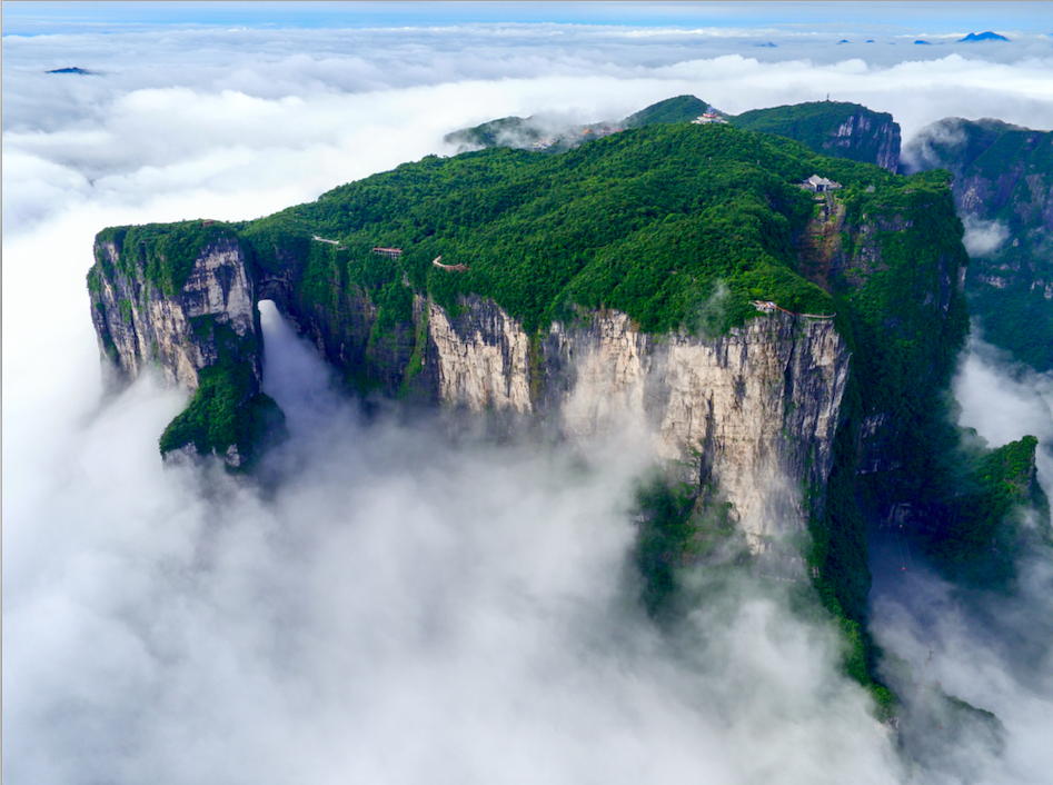 屏幕快照 2021-11-25 上午8.47.58.png