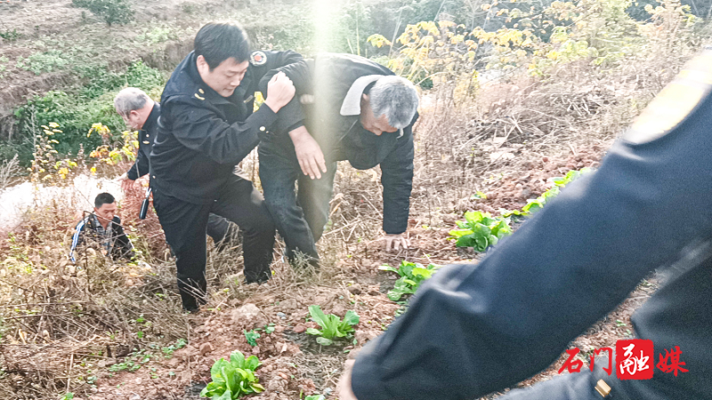 城管2.png 城管2.png