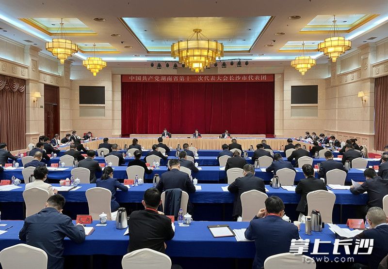 今日下午，出席中国共产党湖南省第十二次代表大会的长沙市代表团讨论省党代会报告。长沙晚报全媒体记者 凌晴 摄