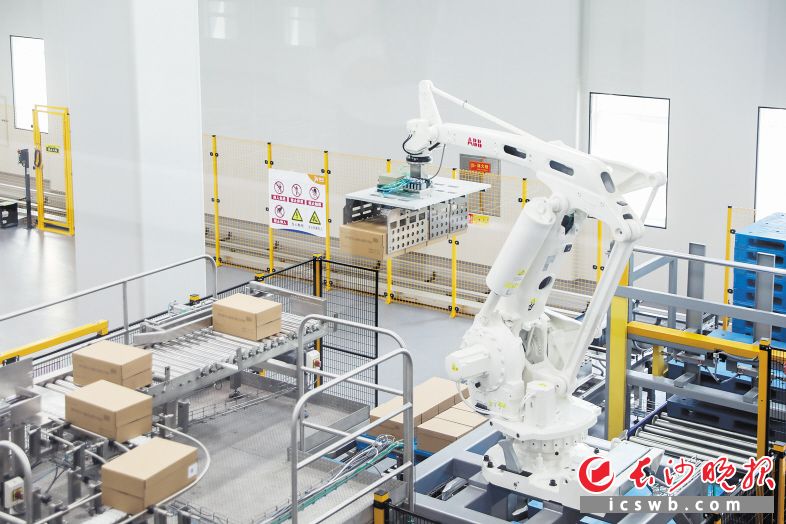 在澳优长沙智慧工厂，机器人有条不紊地打包产品。长沙晚报全媒体记者 易亿 摄