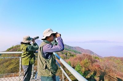 海之角山之巅 守护猛禽向南迁